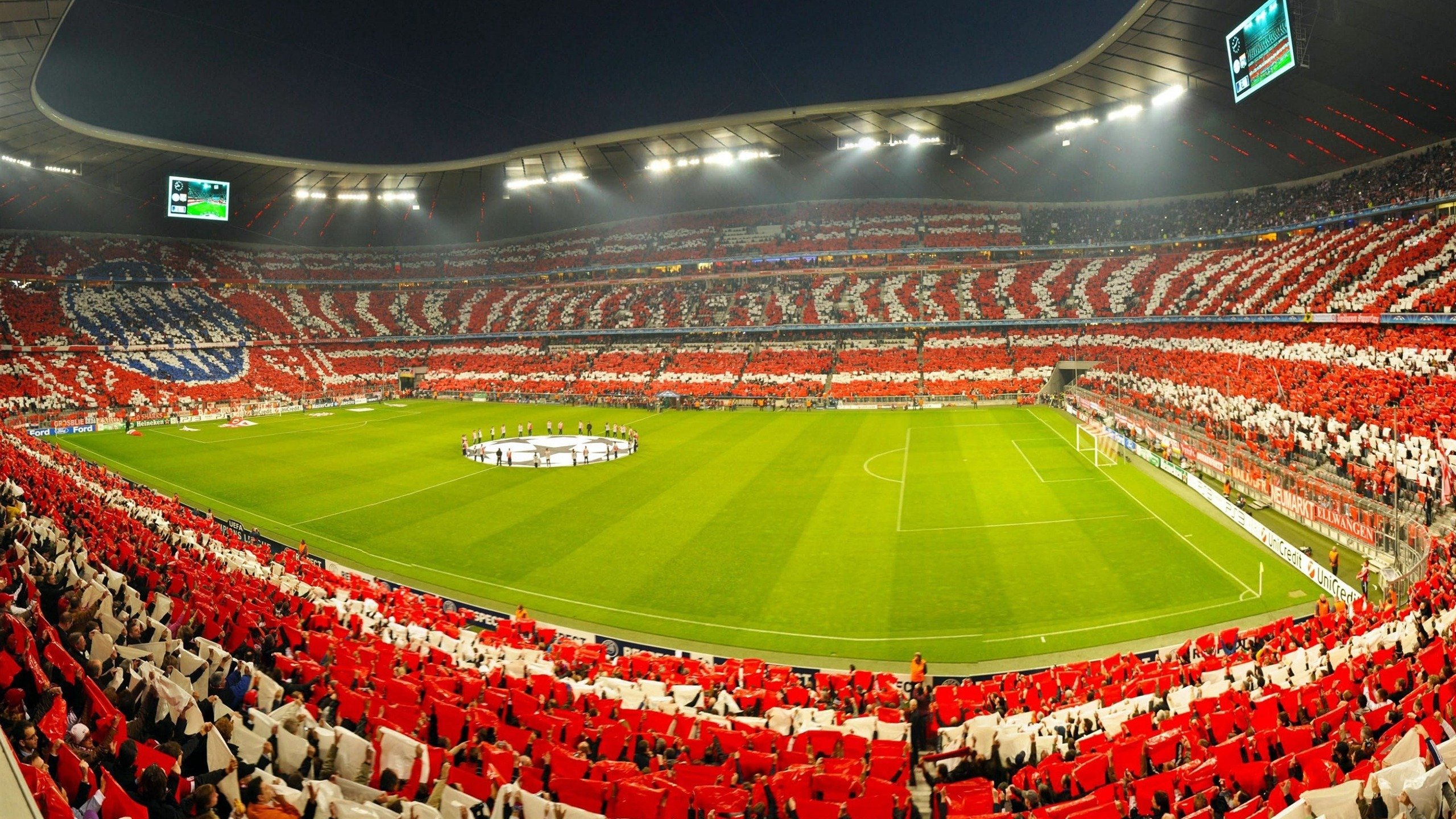 达米恩·麦肯齐：凭借高效的跑动和敏捷的脚步，成为全黑队进攻的关键