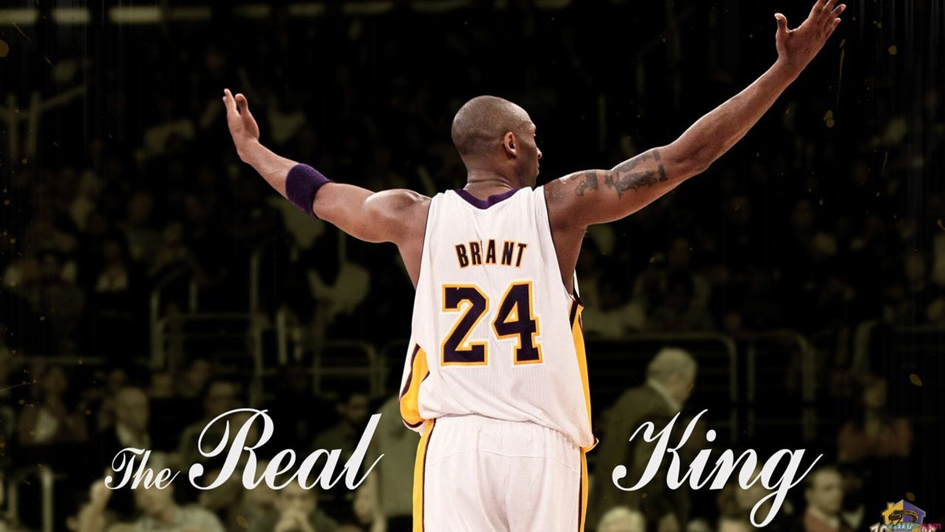 JIUYOU GAMING-“NBA文化巡礼：篮球成就全球青少年的梦想”，青少年篮球发展现状及对策研究